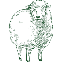 Imagine descriptiva pentru carnea de porc