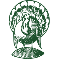 Imagine descriptiva pentru carnea de curcan